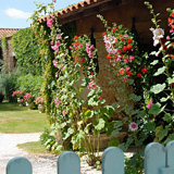 Chambres d'hôtes de charme les hortensias